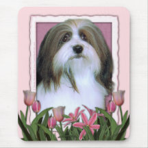 Mutter-Tag - rosa Tulpen - Havanese Mousepad