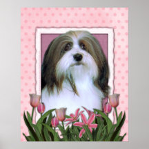 Mutter-Tag - rosa Tulpen - Havanese Poster