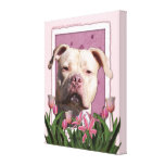 Mutter-Tag - rosa Tulpen - Pitbull - Jersey-Mädche Gespannte Galerie Drucke