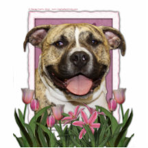 Mutter-Tag - rosa Tulpen - Pitbull - Tigger Photostatuen