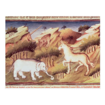 Mythische Tiere in der Wildnis Postkarte