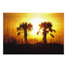 N.A., USA, South Carolina, Charleston. Sonnenunter Photodruck
