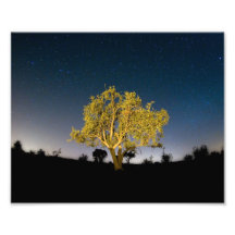 Nachtsterne Fotodruck