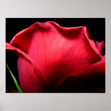 Naher, S Cyr Poster
