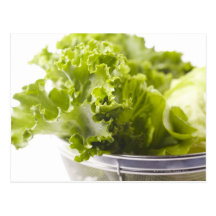 Nahrung, Nahrung und Getränk, Gemüse, Kopfsalat, Postkarte
