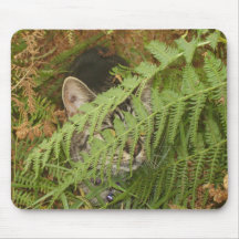 Nala P1010017 die Katze Mauspads