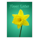 Narzissen-Ostern-Karte - II