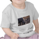 Nashorn, das an einem Bewässerungsplatz trinkt Tshirt
