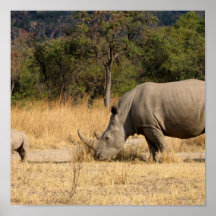 Nashorn-Familien-Druck Plakatdrucke