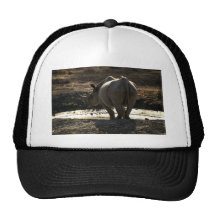 Nashorn, hintere Ansicht Baseball Cap