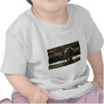 Nashorn, hintere Ansicht Tshirt