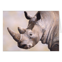 Nashorn-Karte