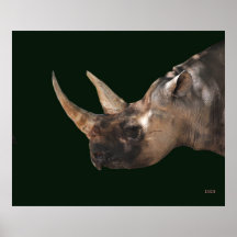NASHORN PLAKAT