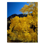Nationalpark-Postkarte