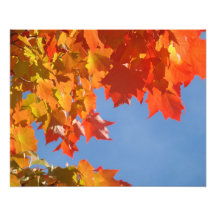 Natur-Fotografiekunst druckt Herbst-Blätter