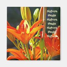 Natur heilt Natur heilt Magnet Orangen-Lilie Kühlschrankmagnet