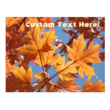 Natur-kundenspezifisches Text-Postkarten-Fall-Baum