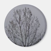 NATUR-MAGNET KÜHLSCHRANKMAGNETE