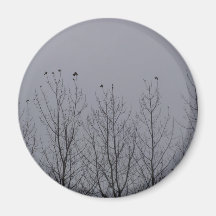 NATUR-MAGNET MAGNETE