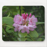 NATUR OREGON MOUSEPADS