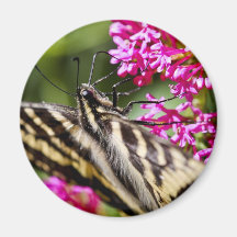 Natur-Schönheit Kühlschrankmagnet