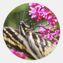 Natur-Schönheit Runde Sticker