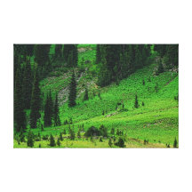 Natural Greens Stretched Canvas Prints