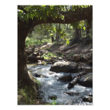 Nature's Beauty! Photographic Print