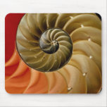 Nautilus-Muschel Foto Mousepad