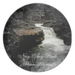 Nay Aug Flache Teller