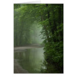 Nebel im Wald Karte