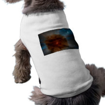 Nebelfleck 4 hund tshirts