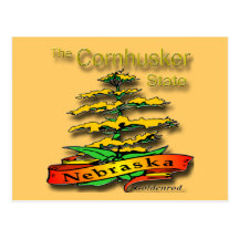Nebraskacornhusker-Staats-Goldrute Postkarte