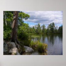 nelligan See Poster