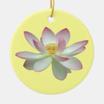 Nelumbo nucifera ornament