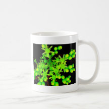 Neon Flower Tee Tasse