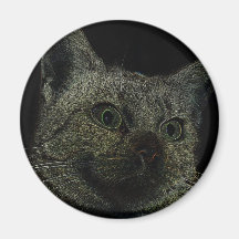 Neoncat Magnets