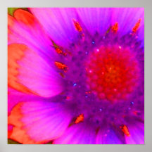 NeonRudbeckia Posterdruck