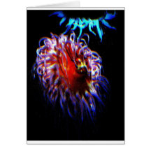 Neonseeanemonen Karten