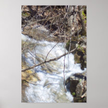 NEUER PICS 269 POSTERDRUCK