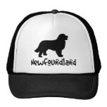 Neufundland mit coolem Text Kultcaps
