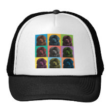 Neufundland-Pop-Art Trucker Caps