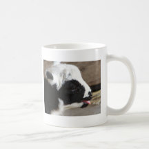 Neugeborenes Lamm Kaffee Tasse