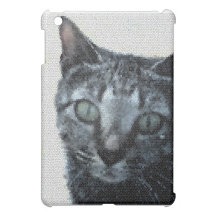 Neugierige Katze