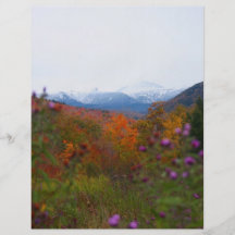 New Hampshire Flyerdesign