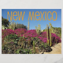 New Mexiko Flyer