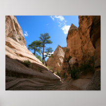 New Mexiko-Schlucht Posterdrucke