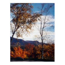 NH-Herbst Postkarte
