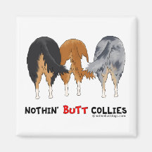 Nichts Hintern-Collies Kühlschrankmagnet