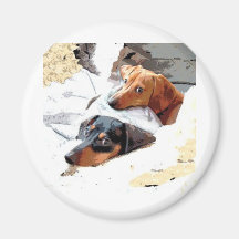 Nickerchen machende Hunde Magnets
